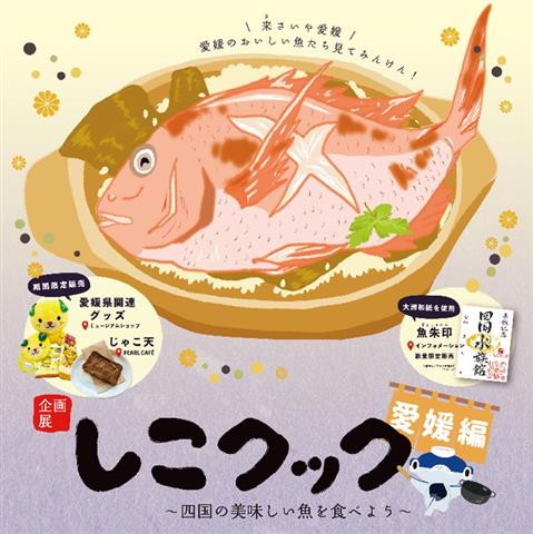 企画展「しこクック～四国のおいしい魚を食べよう 愛媛県編～」